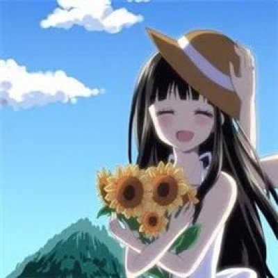 归鸾阵容官宣